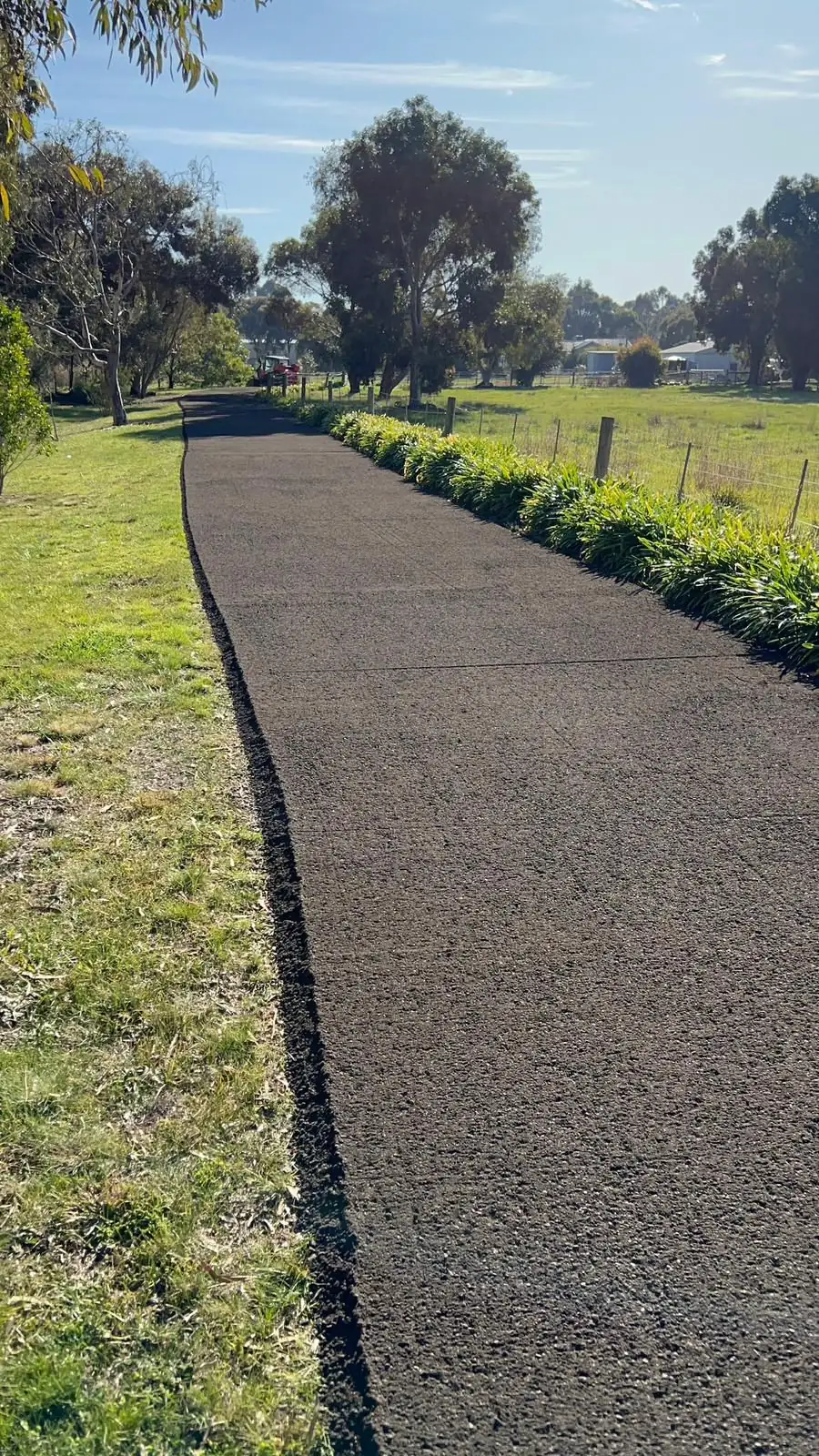 Newly paved asphalt driveway bordered by green garden plants and grass.